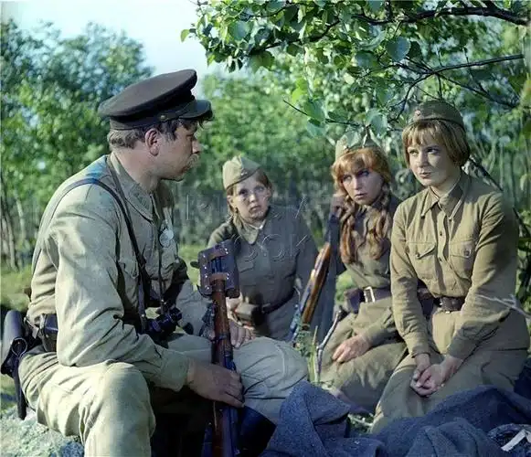 这里的黎明静悄悄 剧照