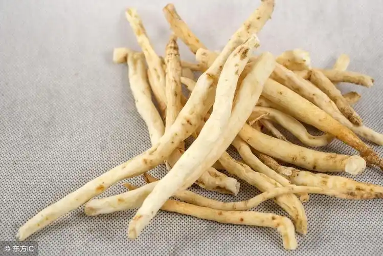 沙参的功效与作用及食用方法(沙参的副作用太大了)插图