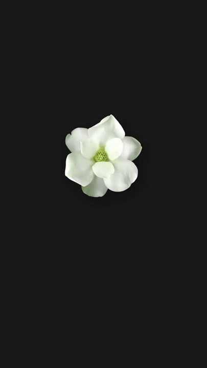 华为mate10内置5款动态时光壁纸主题-"藏不住的掌中艺术!