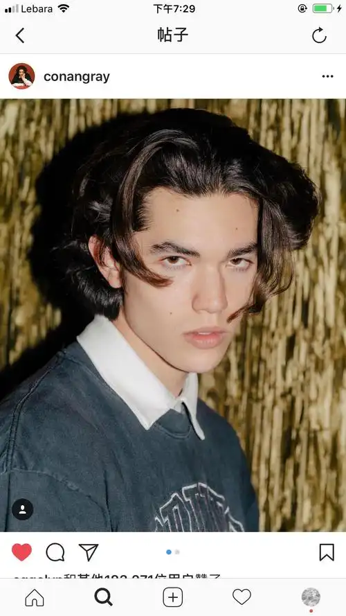 conan gray什么时候能爆红? - 知乎