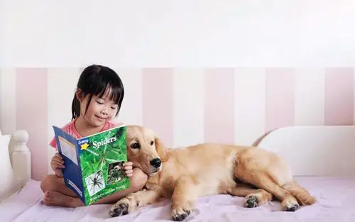 可爱宝宝和超萌宠物唯美写真桌面壁纸第二辑