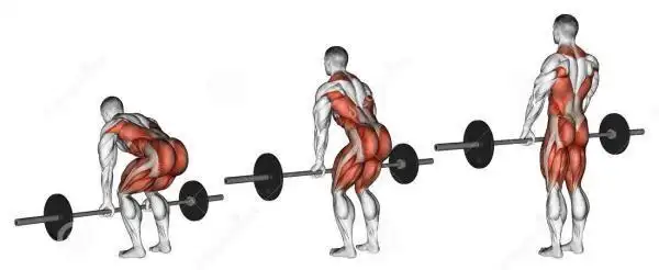 自重训练练不了杠铃硬拉,我们可有通过桥式动作一样强化竖脊肌