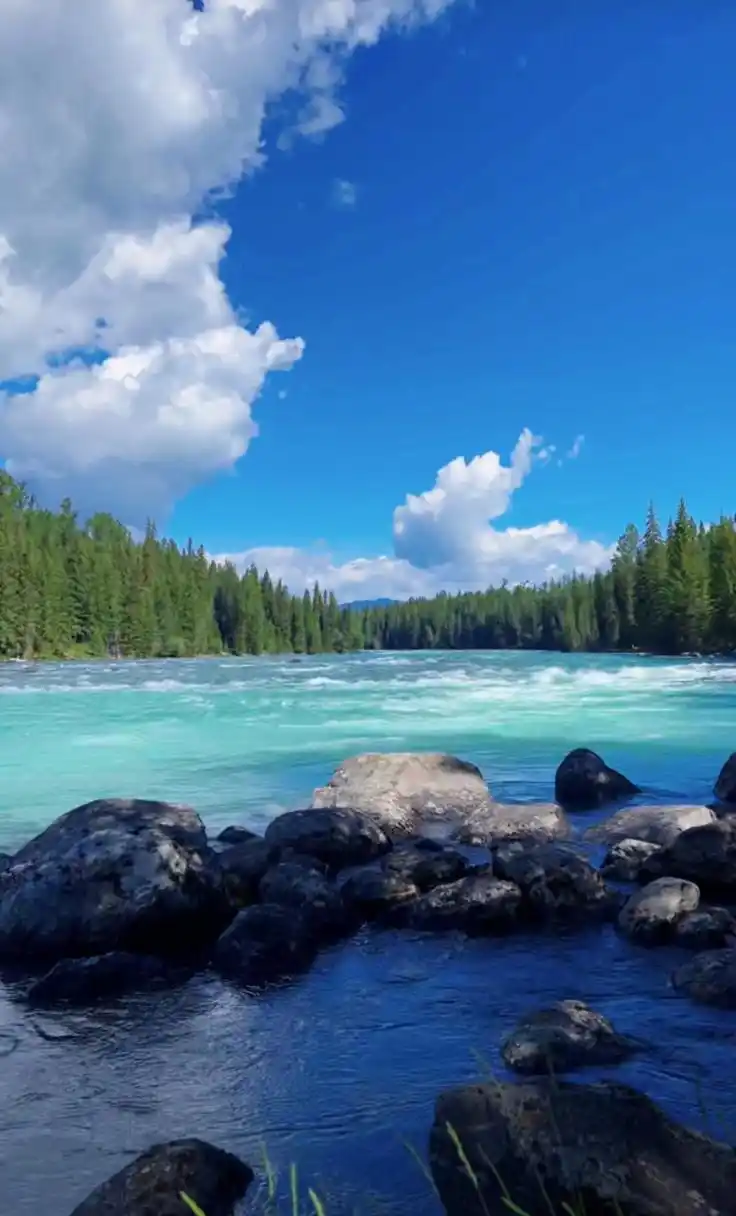 盛夏风景# 心情好,身体好,运气就好.