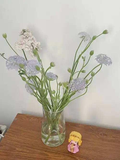 第一次见翠珠是在film coffee当时就觉得这个小球球