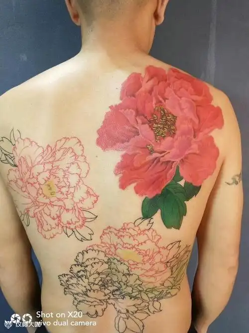 满背牡丹_纹身图案手稿图片_雕方的纹身作品集