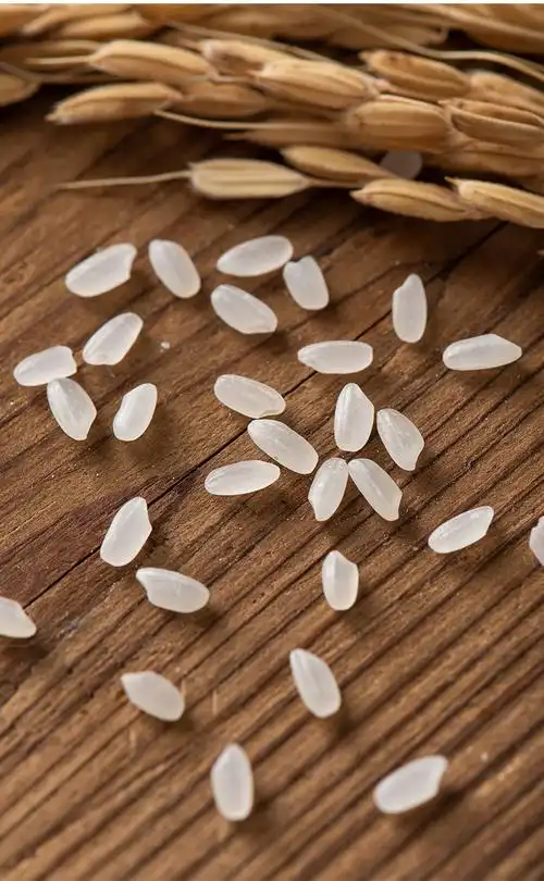 滋稻乐大米 东北大米长粒香 米粒饱满 无陈米 香甜软糯【价格 图片