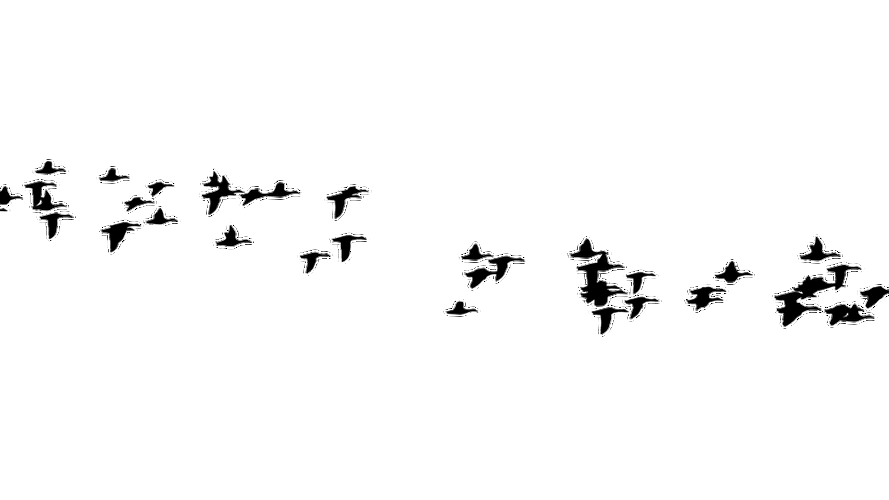 中国风水墨飞鸟