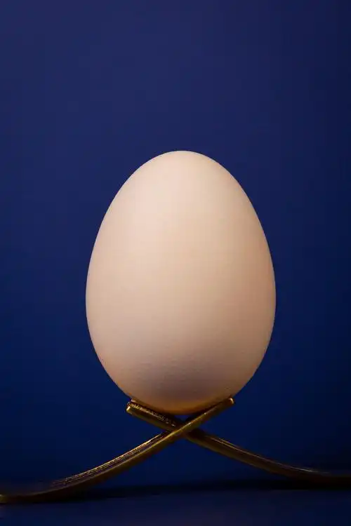 鸡蛋创意拍摄