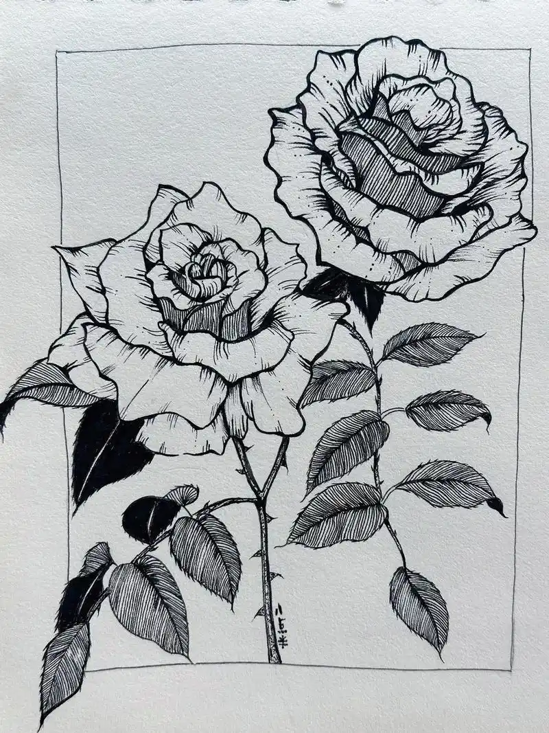 练线条|玫瑰.#黑白线描画 #零基础学画画 有一种难叫真的很 - 抖音