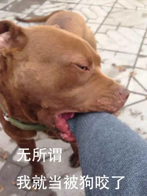 在朋友圈晒一件奢侈品是种什么体验:被怼到哭