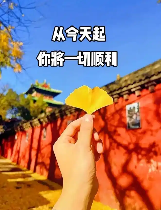 从今天起 #你将一切顺利 #愿所有美好如约而至 #平安喜乐 - 抖音