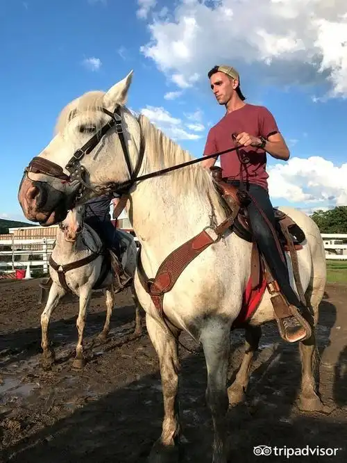 景点 painted bar stables i had several friends visiting town and