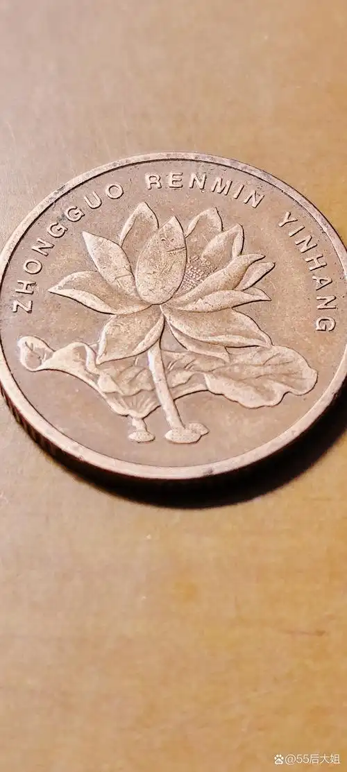 这枚硬币上的莲花图案真是太美了,让人忍不住想多看几眼.