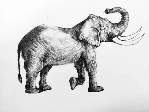 练习|纯艺术|素描|takerutake - 原创作品 - 站酷 (zcool)