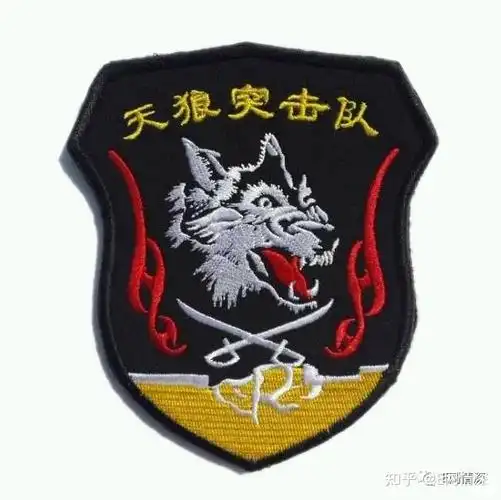 从温涛烈士回望西北天狼突击队