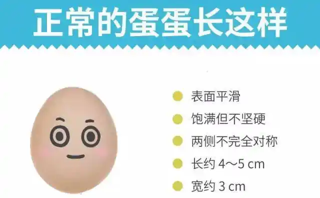 12岁男孩上厕所发现下体有异常 一查发现是癌症|睾丸|男孩|癌症_新浪