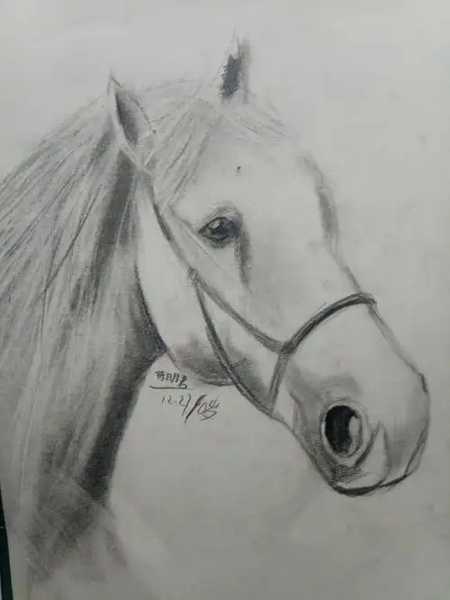 2017下我的素描作品