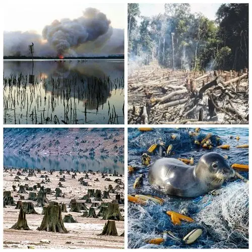 我们享受大自然的一切的时候,同时也在破坏大自然.