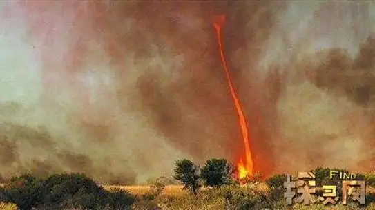 就让小编来为大家分析水火龙卷风相遇之后