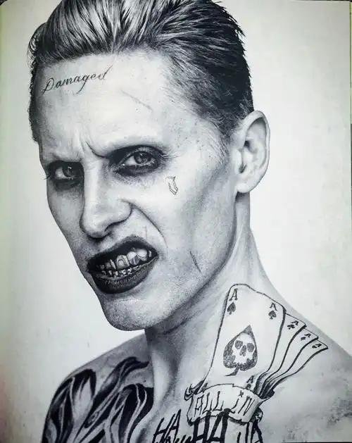 致我最爱的反派——"小丑"希斯莱杰