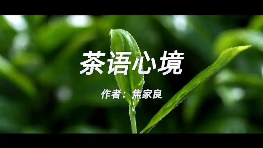 关注 煮一壶风雨 摆一台人生 斟不满人间爱 倒不完不了情 《茶语心境