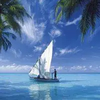 帆船乘风破浪头像图片大全_微信头像图片大全