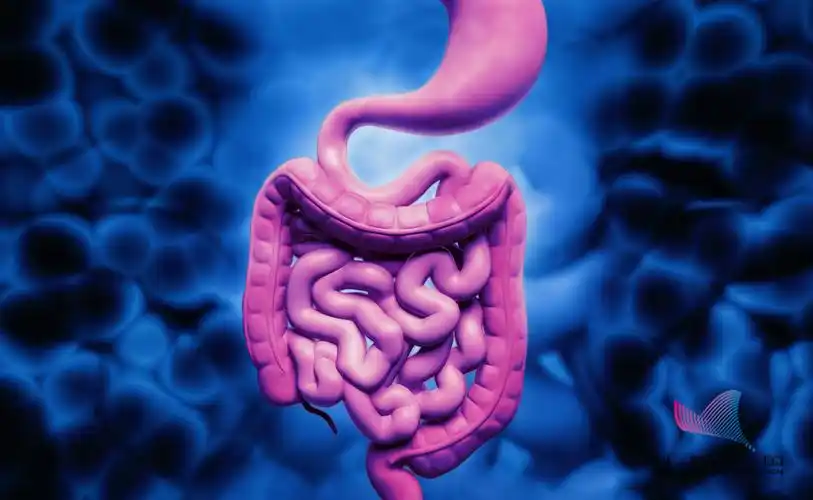 女子连喝2年这种茶大肠内壁全变黑很多人都用它来治便秘