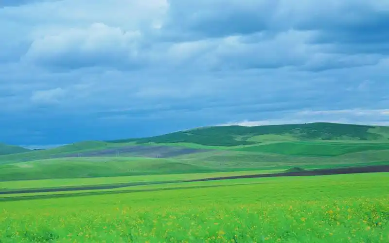 夏日广阔草原风景壁纸