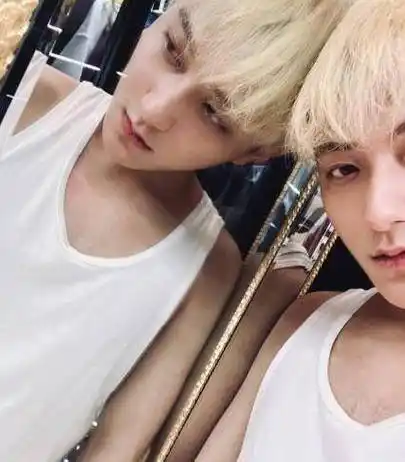 陈乔恩,刘亦菲,黄子韬,任嘉伦,刘宪华,王俊凯,林更新,林允