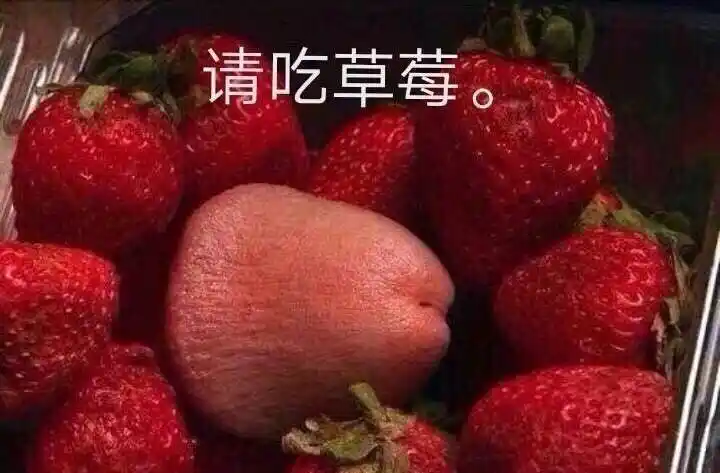 下的躲在墙后不敢说话表情包 - 表情图