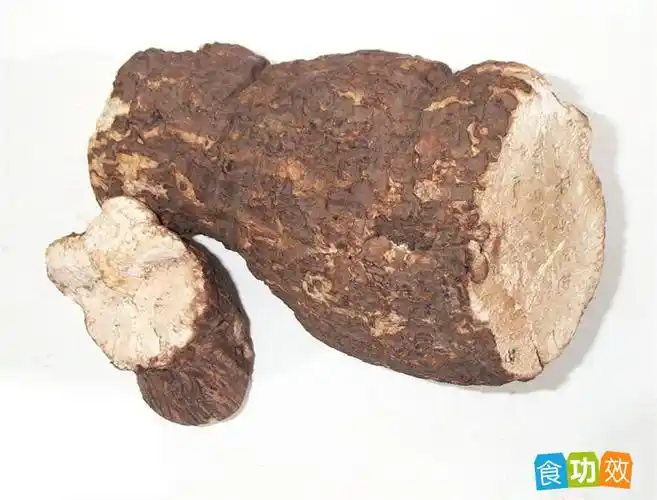 茯苓多糖的功效与作用(茯苓多糖的功效与作用禁忌及食用方法) - 食