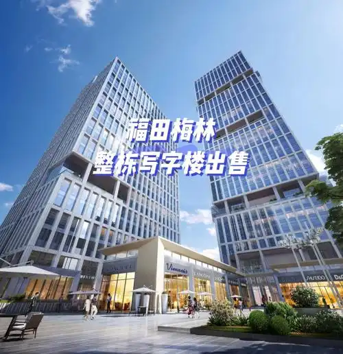 福田整栋18层写字楼出售总部大厦集团总部