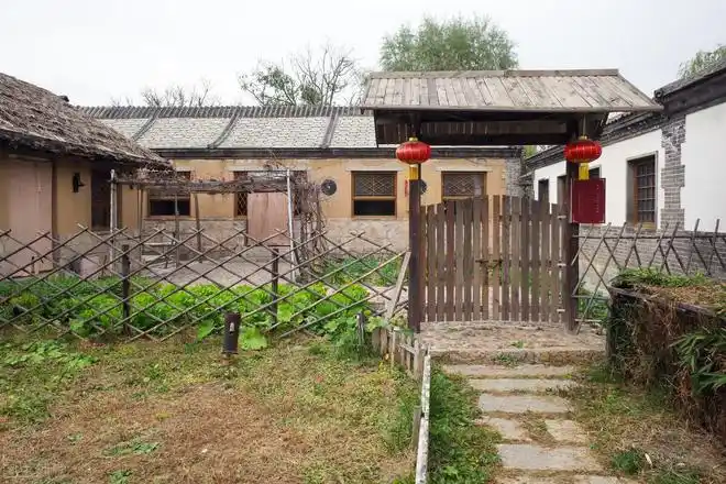 春天要植树农村庭院春季种上这5种树寓意美好日子红红火火