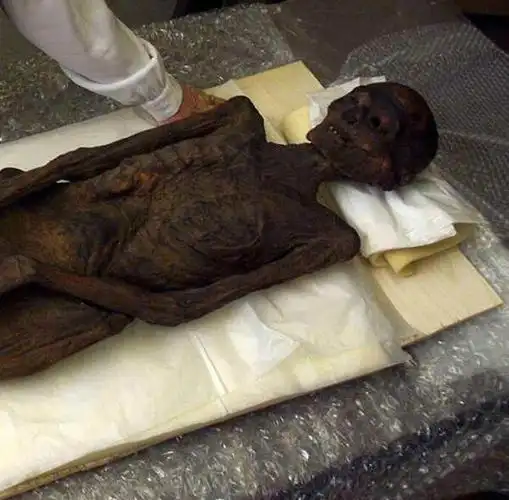 木乃伊是现实生活中有形的鬼