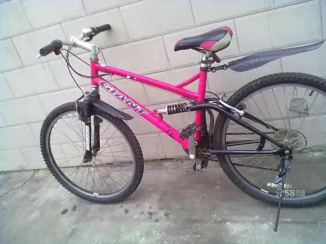 这辆二手捷安特卖家说是ucan1.0.问题是ucan有粉红色?