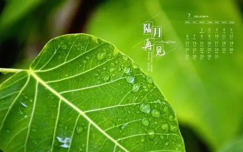 2020年7月清新文字图片日历壁纸