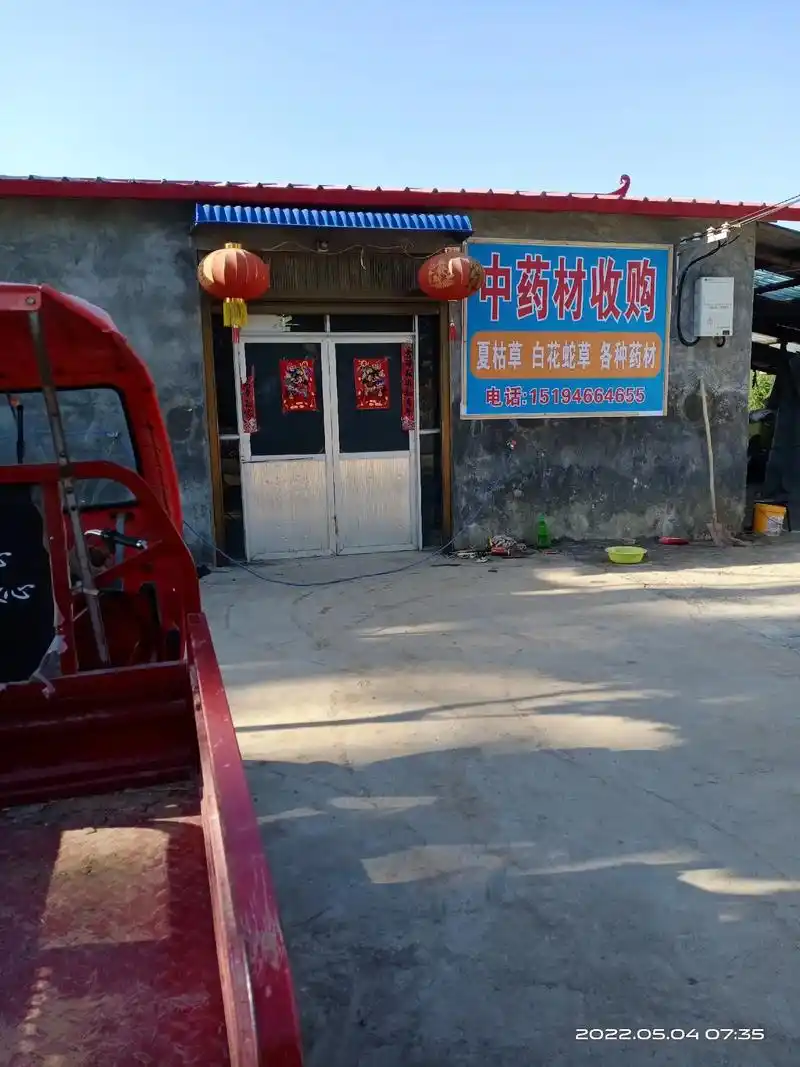 大量收购夏枯草全棵,各种中药材 - 抖音