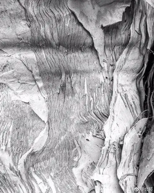 木纹是心衣的褶皱,手掌心扶上去,手心处轻轻挥散的空气,触手粗硬内里