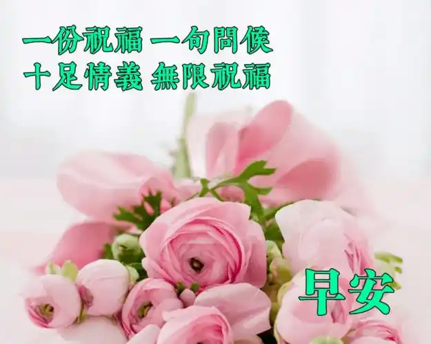 7月最新版早上好问候祝福语短信微信早安唯美鲜花祝福语图片精选
