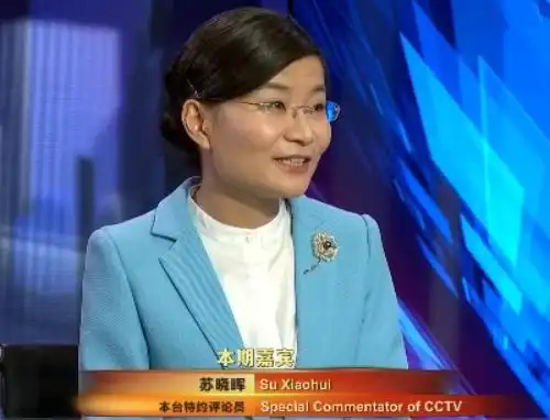 评论员苏晓晖