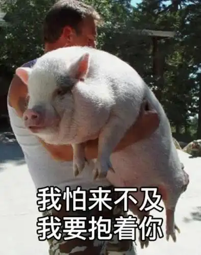 热门图片(今日份热门斗图表情包29张)