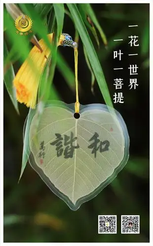 一花一世界 一叶一菩提 将一片片汇聚了 灵气之源的菩提叶 经过采集