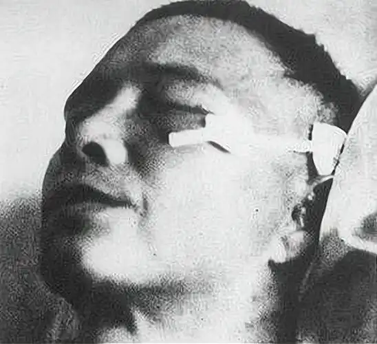 汪精卫病死日本后留下5个子女他们后来怎么样了