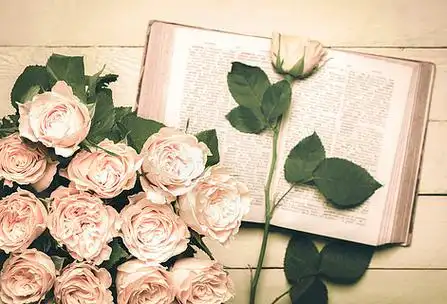 复古图像,前景是一束玫瑰,背景是一本打开的旧书,背景是一朵玫瑰,放在