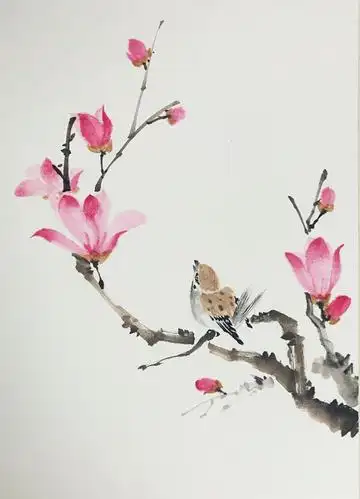 绰约新妆玉有辉～玉兰花