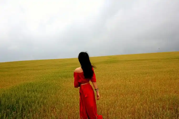 草原风情总入梦