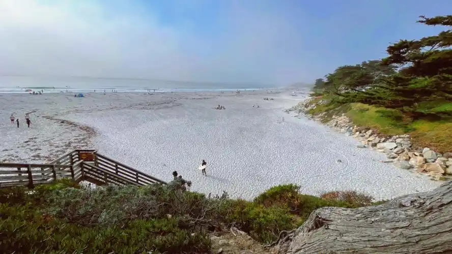 湾区周末卡梅尔小镇的白色沙滩