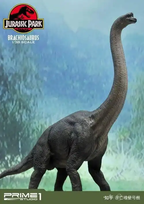 如何区分梁龙雷龙震龙腕龙马门溪龙