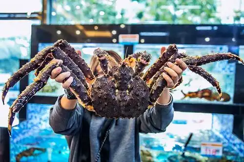 1500㎡100种生猛海鲜现捞现吃武汉这家新开的海鲜超市人均竟不过百