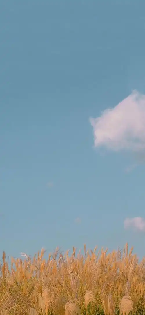 唯美小清新风景高清手机壁纸